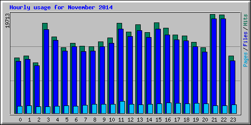 Hourly usage for November 2014
